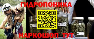 МДПВ Новодвинск