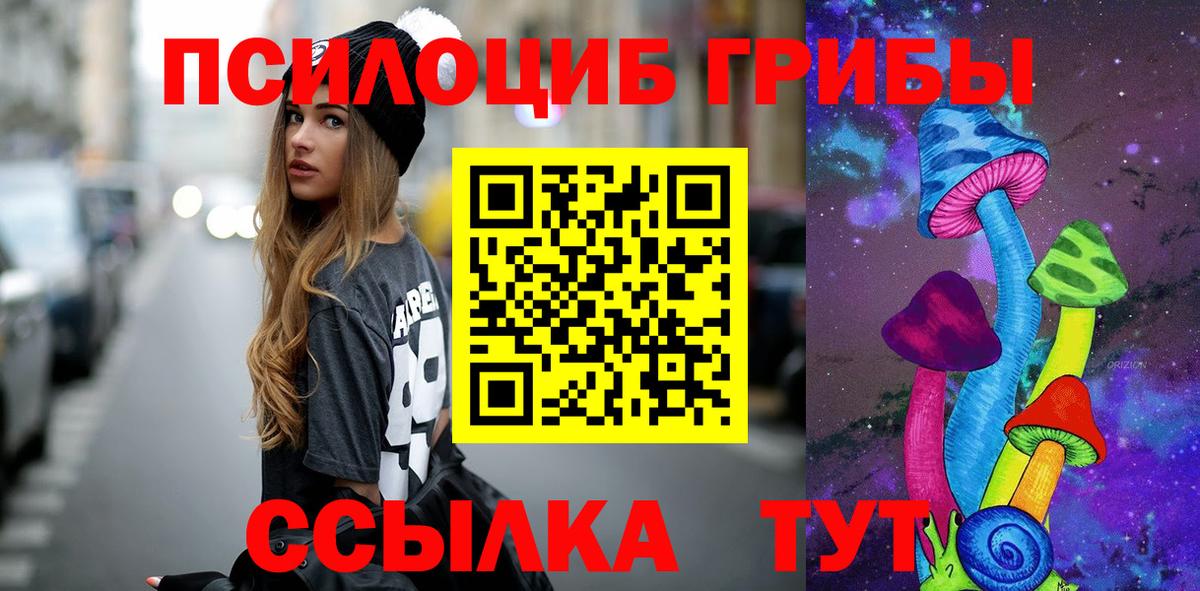 Галлюциногенные грибы Cubensis Партизанск